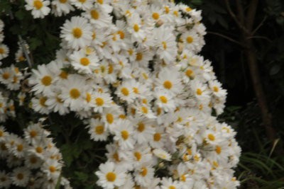 ir-141013_12-04_1120.jpg