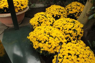 ir-141013_12-06_1131.jpg