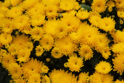 ir-141013_12-07_1133.jpg