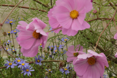 ir-141013_12-09_1138.jpg