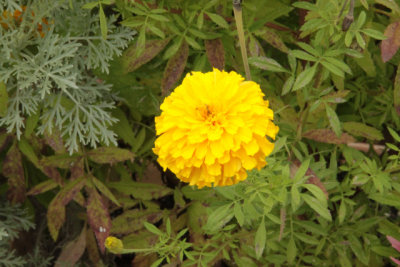 ir-141013_12-10_1141.jpg