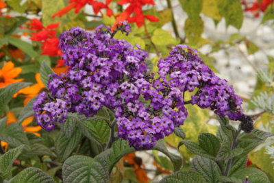 ir-141013_12-10_1146.jpg