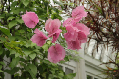 ir-141013_12-17_1163.jpg