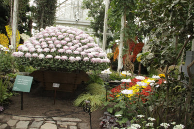 ir-141013_12-20_1171.jpg