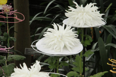 ir-141013_12-23_1184.jpg