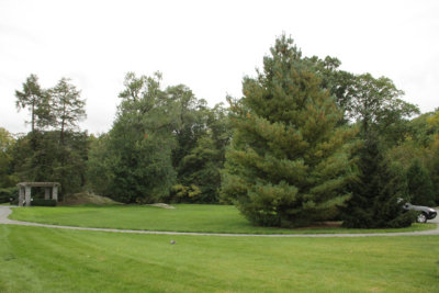 ir-141013_14-01_1274.jpg