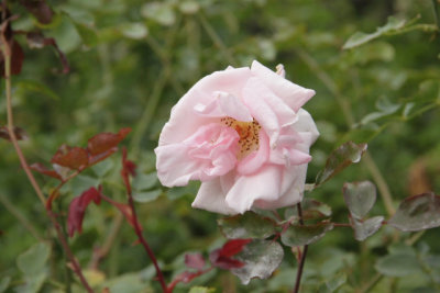 ir-141013_14-12_1292.jpg