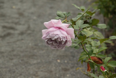 ir-141013_14-16_1304.jpg