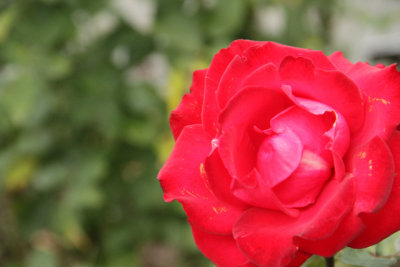 ir-141013_14-18_1310.jpg