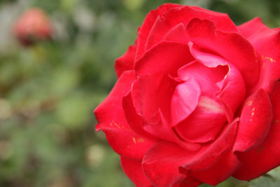 ir-141013_14-18_1311.jpg