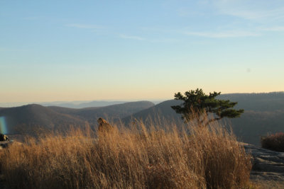 ir-141110_16-06_1596.jpg