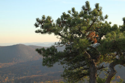 ir-141110_16-08_1600.jpg