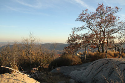 ir-141110_16-12_1615.jpg