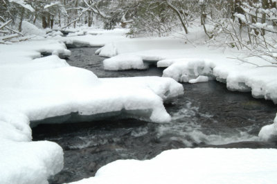 ir-030207_14-18_5615.jpg