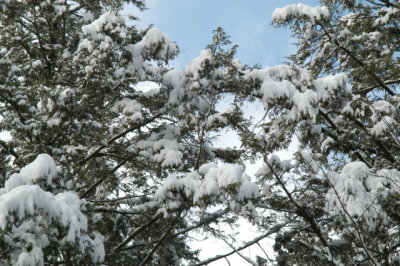 ir-030207_14-46_5673.jpg