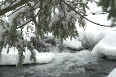 ir-030207_14-57_5683.jpg