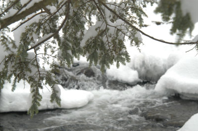 ir-030207_14-57_5684.jpg