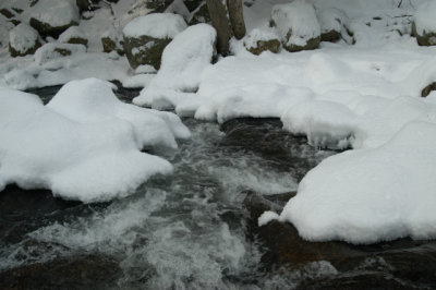 ir-030207_15-00_5689.jpg