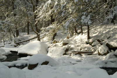 ir-030207_15-01_5692.jpg