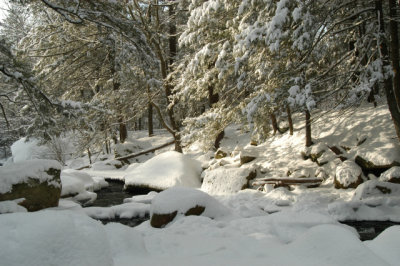 ir-030207_15-01_5693.jpg