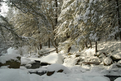 ir-030207_15-01_5694.jpg