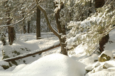 ir-030207_15-02_5698.jpg