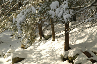 ir-030207_15-02_5699.jpg