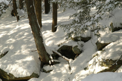 ir-030207_15-02_5701.jpg