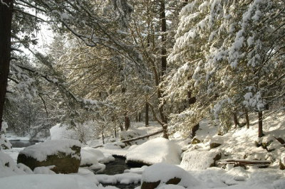 ir-030208_20-48_5695.jpg