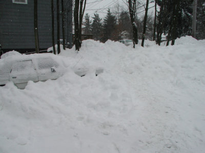 Lots of Snow around Cedar Lane, Monsey, NY