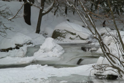 ir-030218_17-16_5715.jpg