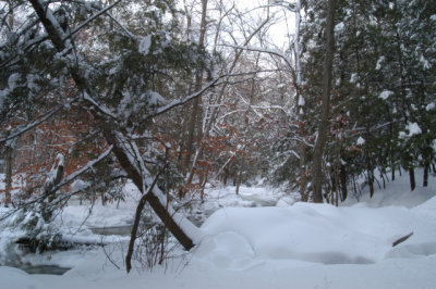 ir-030218_17-40_5758.jpg