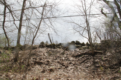ir-150423_12-28_5300.jpg