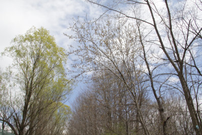 ir-150423_12-40_5308.jpg