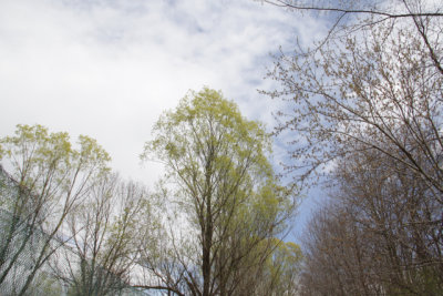 ir-150423_12-40_5309.jpg