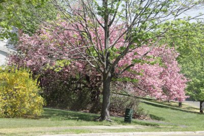 ir-150507_10-01_5417.jpg