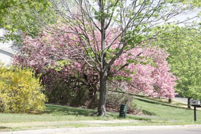 ir-150507_10-02_5418.jpg