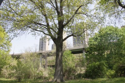 ir-150507_12-23_5429.jpg