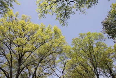 ir-150507_12-46_5432.jpg