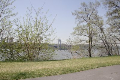 ir-150507_12-50_5435.jpg