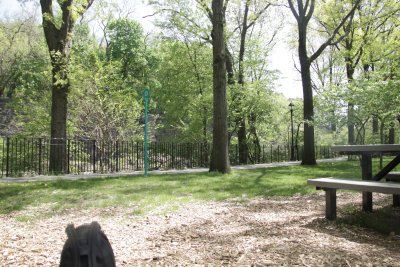 ir-150507_12-54_5439.jpg