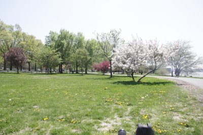ir-150507_13-08_5446.jpg