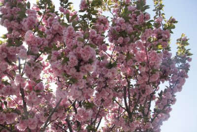 ir-150507_13-46_5465.jpg
