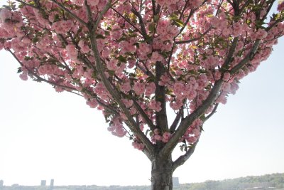 ir-150507_13-46_5466.jpg