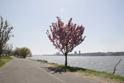 ir-150507_13-50_5469.jpg