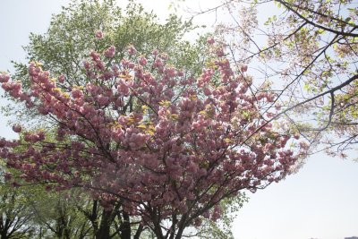 ir-150507_13-55_5470.jpg