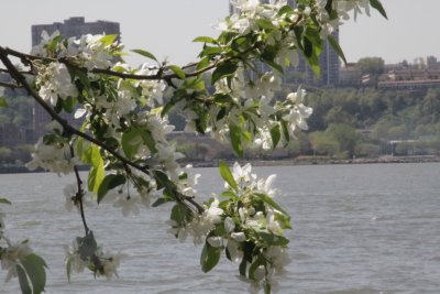 ir-150507_13-57_5472.jpg