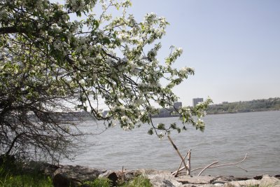 ir-150507_13-57_5473.jpg