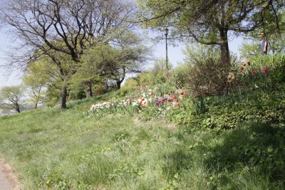 ir-150507_14-17_5475.jpg
