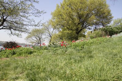 ir-150507_14-17_5476.jpg